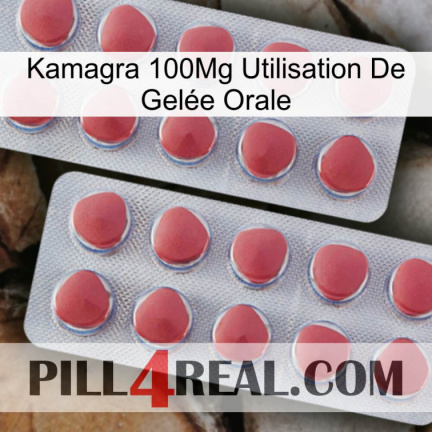 Kamagra 100Mg Utilisation De Gelée Orale 19